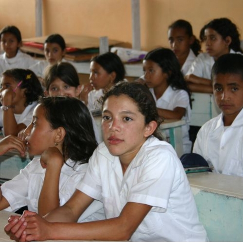 Volta às aulas: disciplina e organização são peças-chave para um ano letivo sem estresse